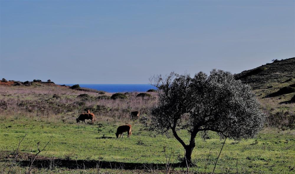 Praia Do Burgau Ngoại thất bức ảnh